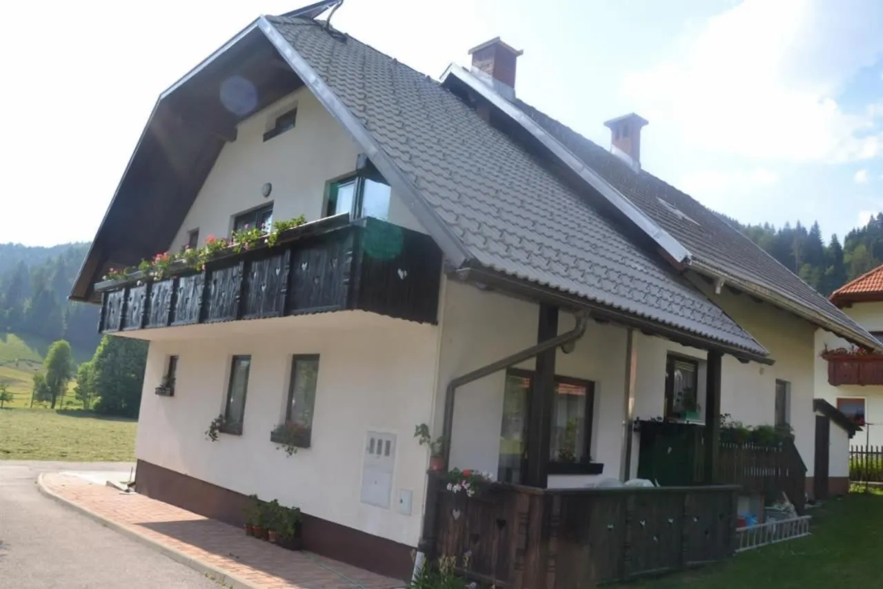 Apartmajska hiša Kot'č poleti